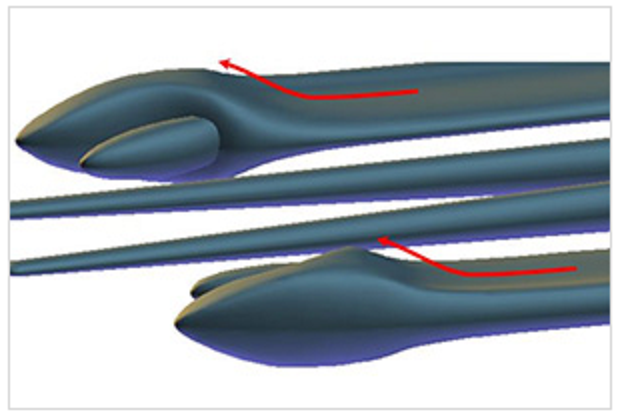 ワームのアップ写真