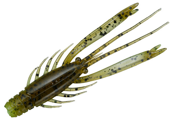 ワームのアップ写真