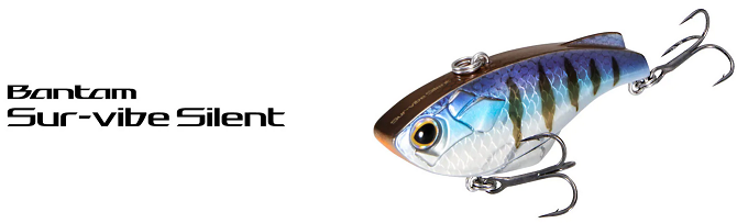 ルアーのアップ写真