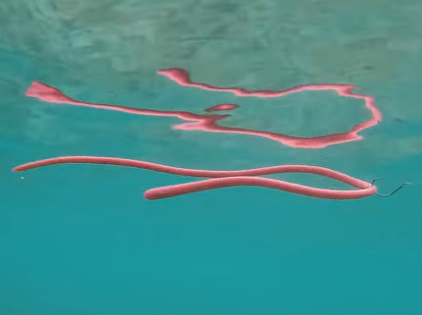 ロングエムの細身＋ロングレングスでタフコン攻略したい！2022年新登場ワーム