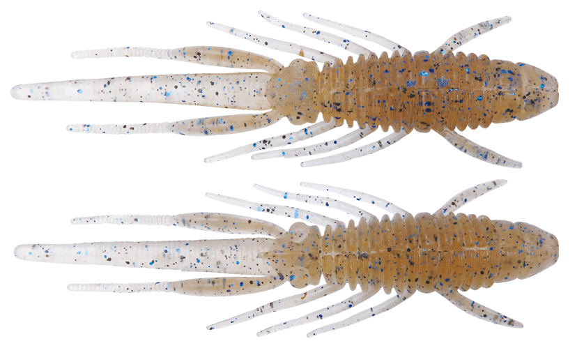 ワームのアップ写真