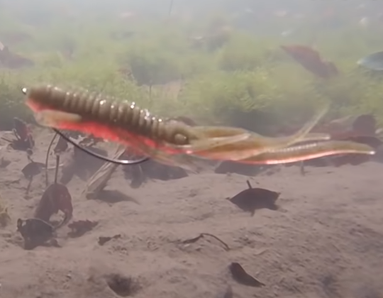 食わせの切り札M.P.Sビッグに2022年新しいカラーが追加ラインナップ！