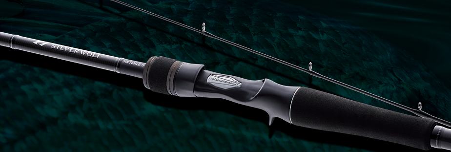 ロッドのアップ写真