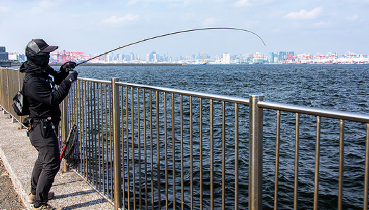 ロッドのアップ写真