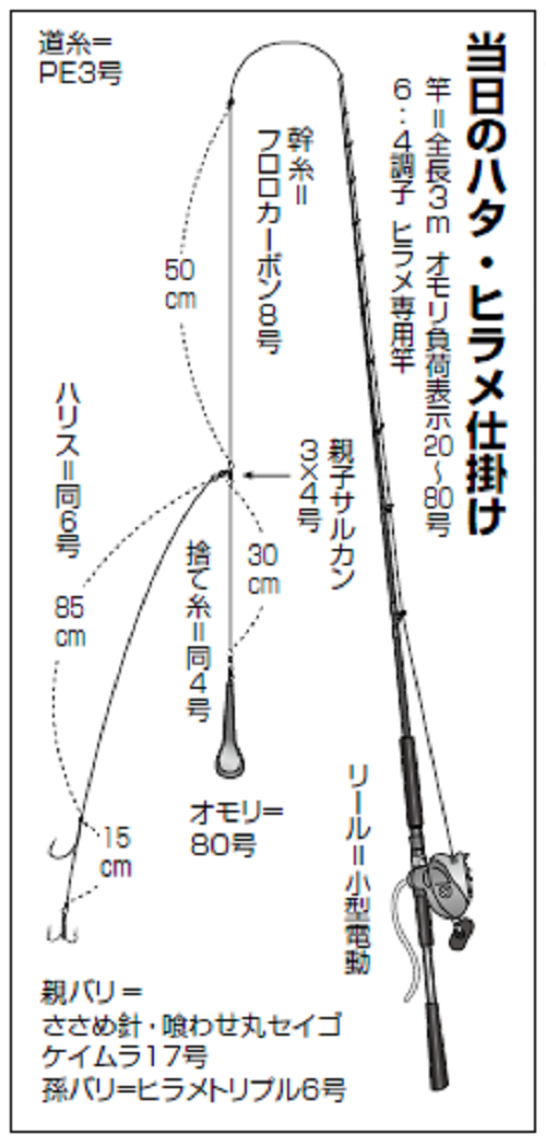 夢が膨らむ高級魚の競演 マハタとヒラメの両狙い