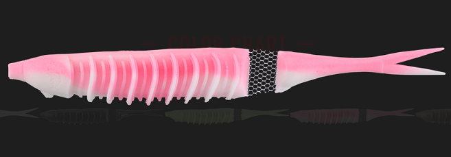 ワームのアップ写真