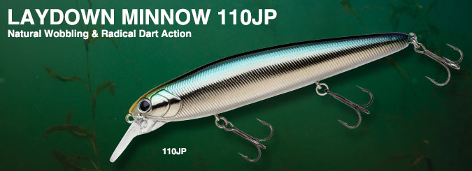 ルアーのアップ写真