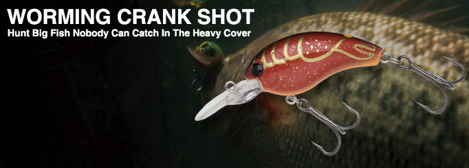 ルアーのアップ写真