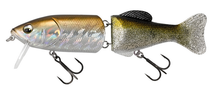 ルアーのアップ写真