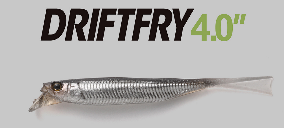 ワームのアップ写真