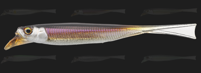 ワームのアップ写真