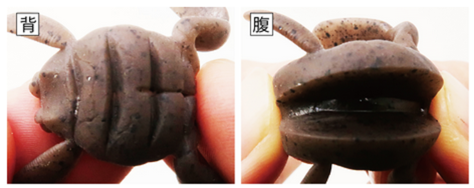 ルアーのアップ写真