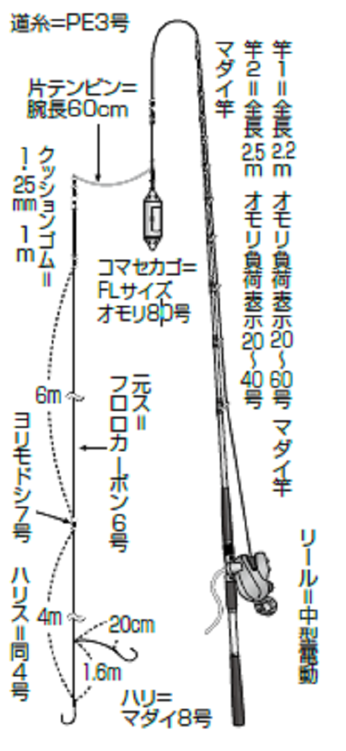 2月も熱いコマセダイ 素早い手返しで2連発