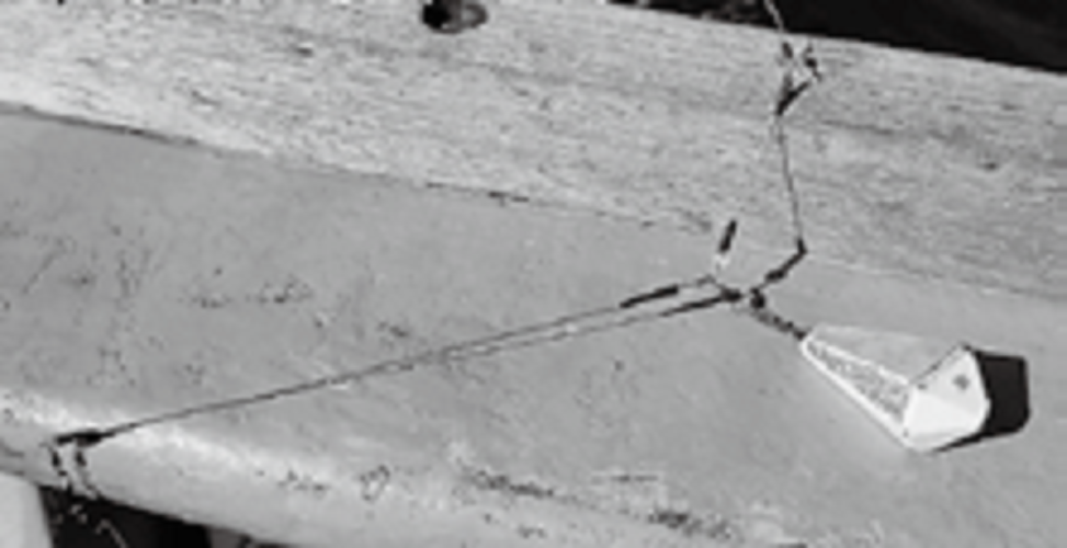 テンビンの写真