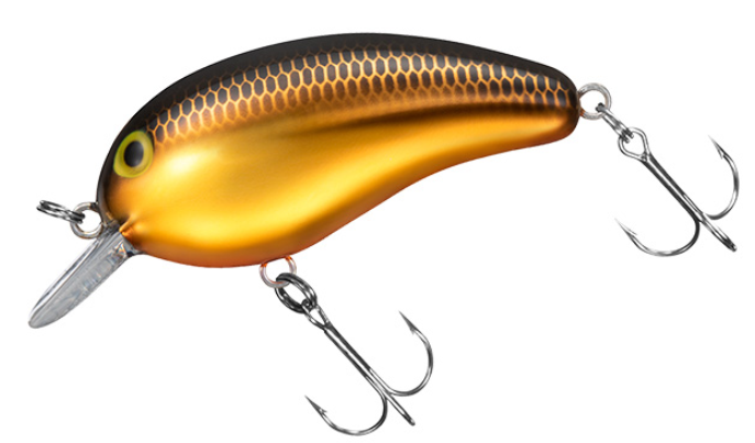 ルアーのアップ写真