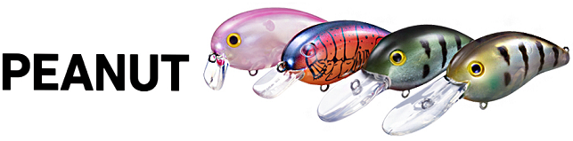 ルアーのアップ写真