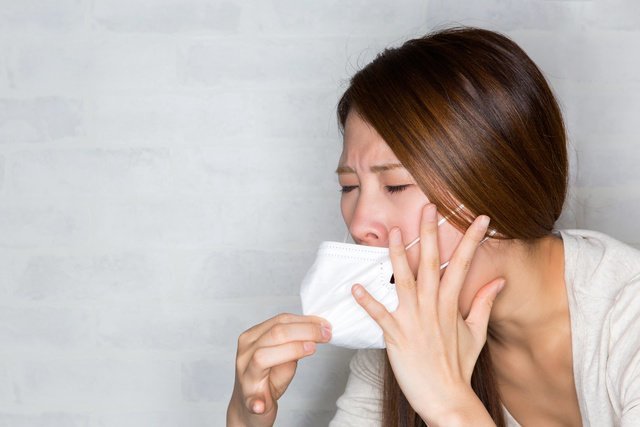 花粉症　くしゃみ　クラゲ　アカクラゲ