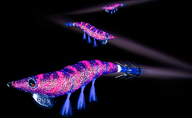 エギのアップ写真