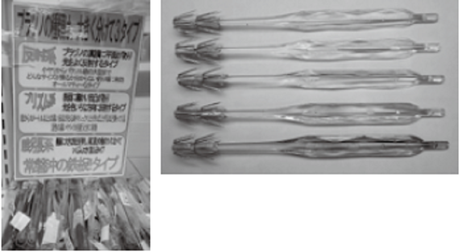 プラヅノの写真