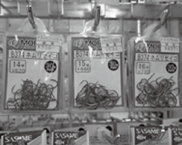 ネムリセイゴの写真