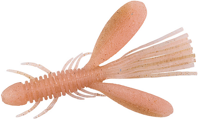 ワームのアップ写真