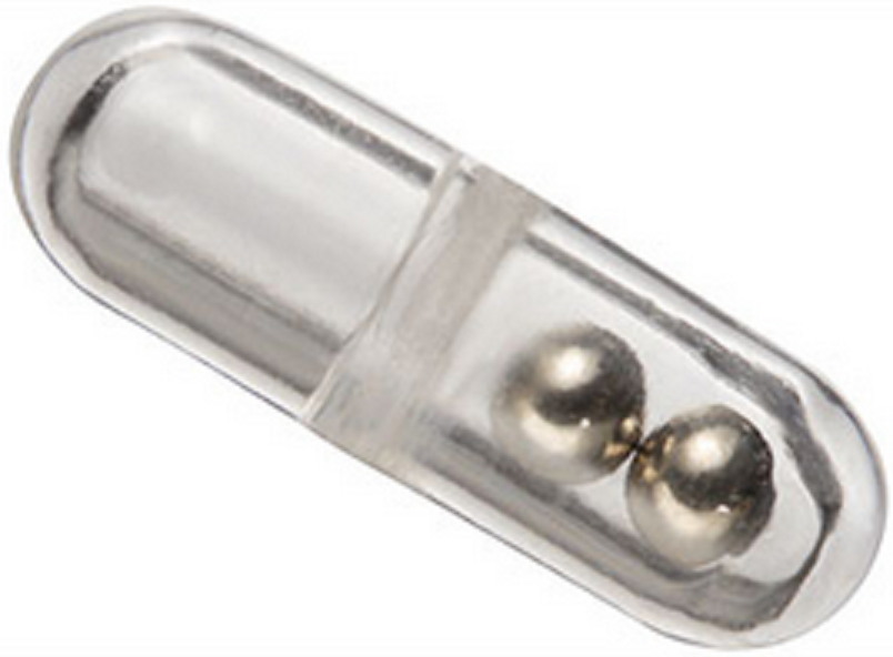 ラトルのアップ写真