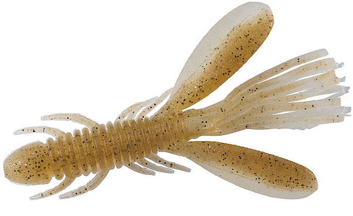 ワームのアップ写真