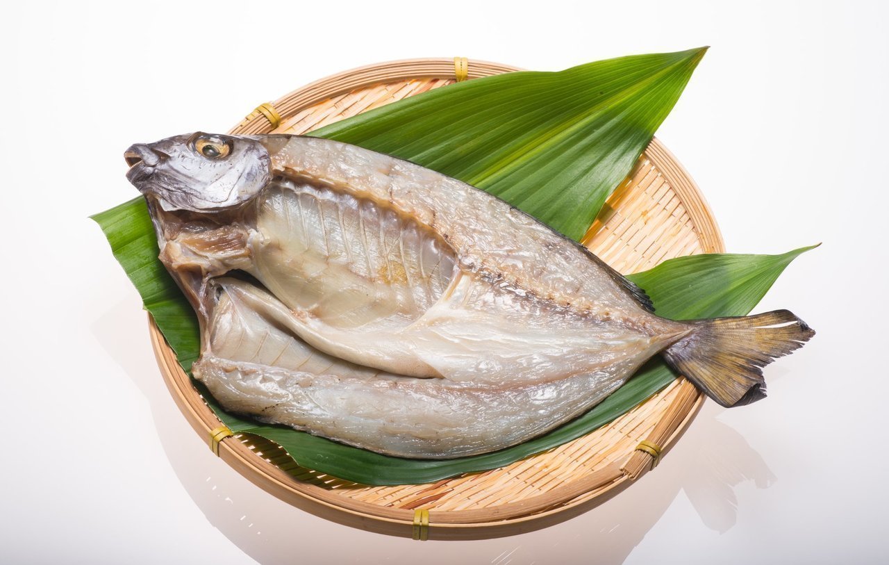 アイゴってどんな魚 生態から釣り方 おすすめの料理法まで一挙ご紹介 釣りまとめアンテナ