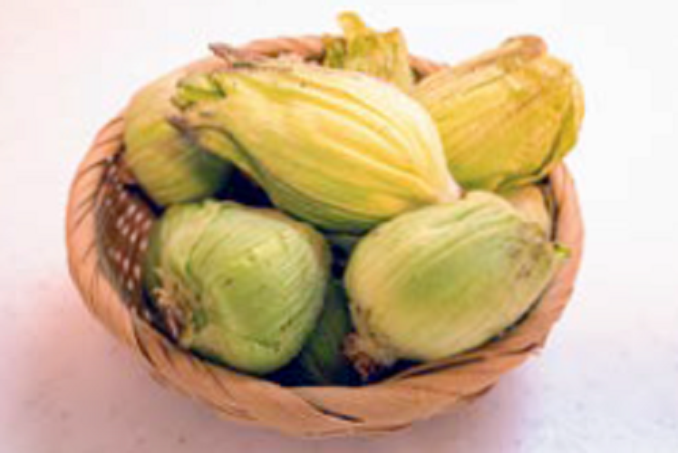 フキノトウの写真