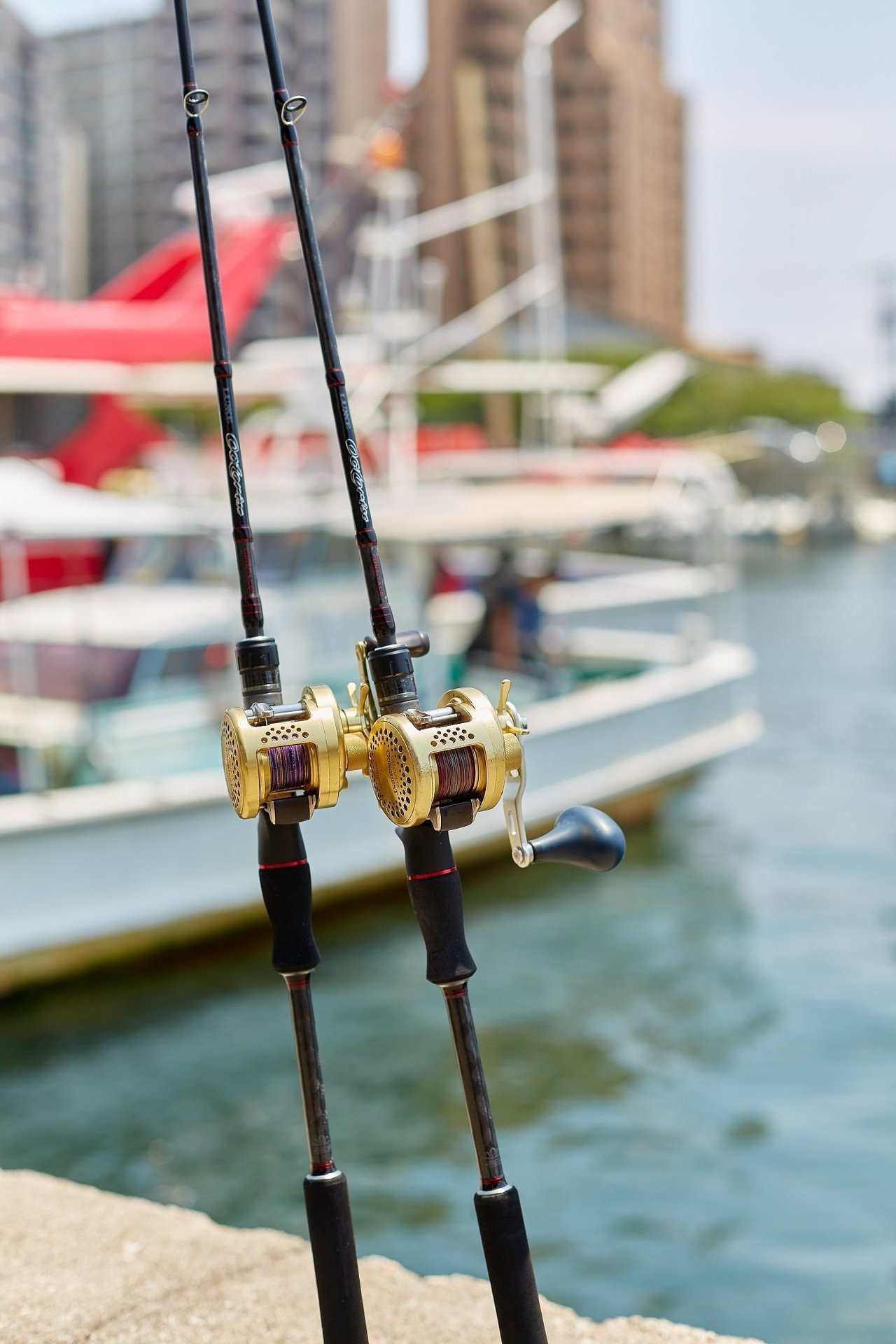 オクトライズ フネタコ