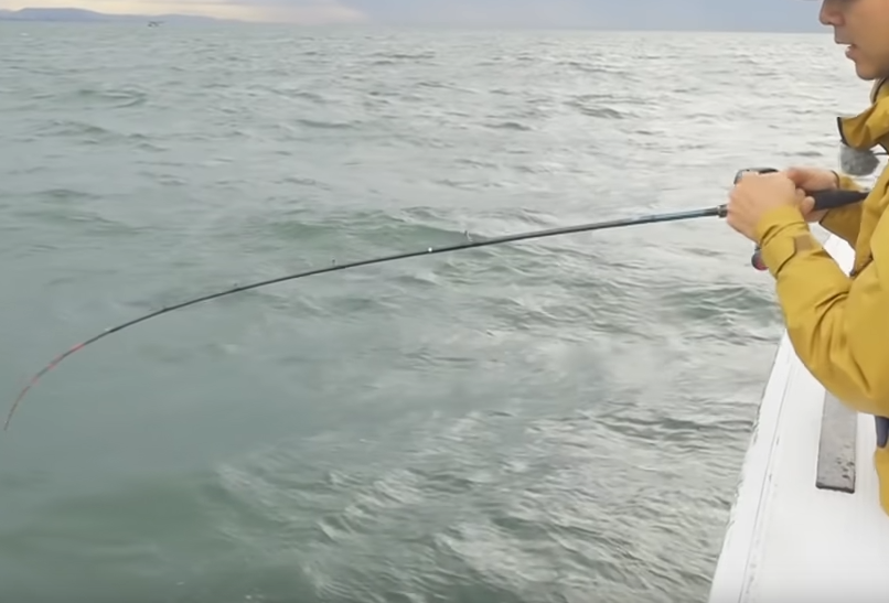 ロッドのアップ写真