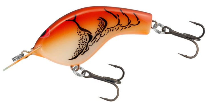 ルアーのアップ写真