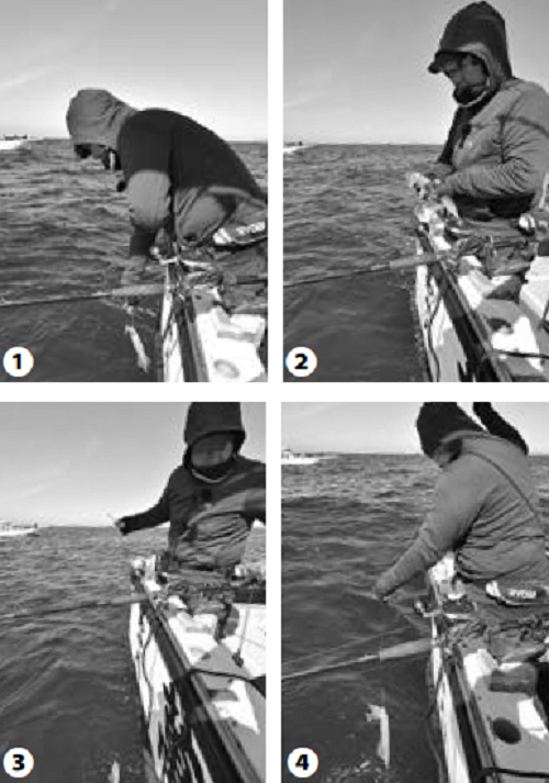 取り込みの写真