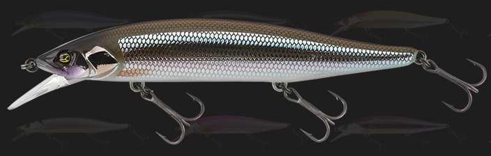 ルアーのアップ写真