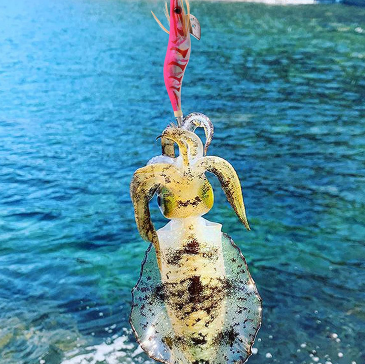 イカとエギのアップ写真