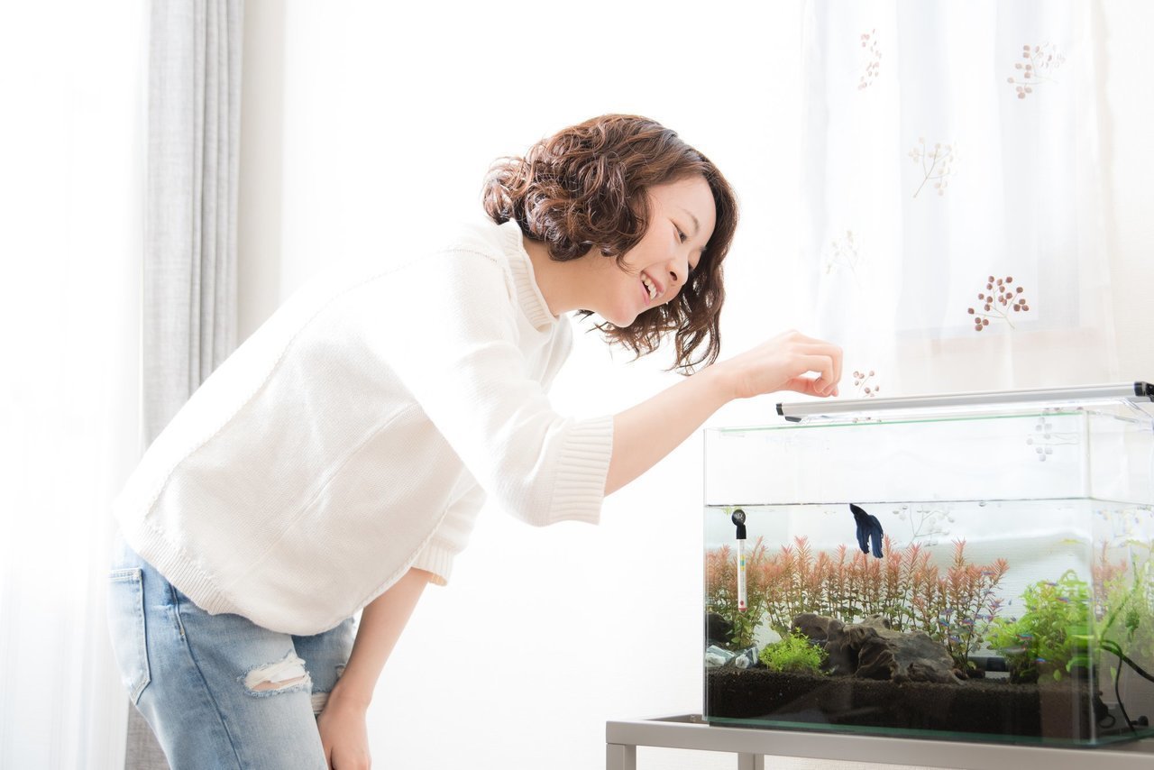 家庭用水槽の写真