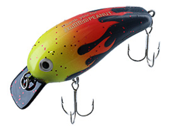 ルアーのアップ写真