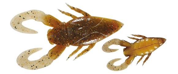 ワームのアップ写真