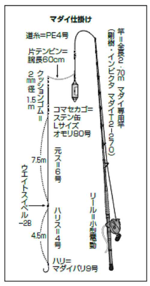 シマアジ マダイリレー 神子元島周りで一挙両得