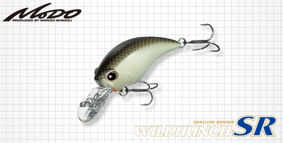 ルアーのアップ写真