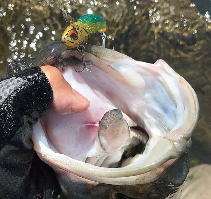 ルアーのアップ写真