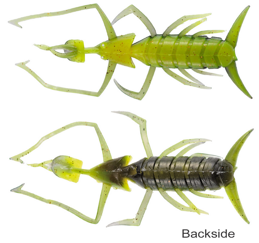 ワームのアップ写真