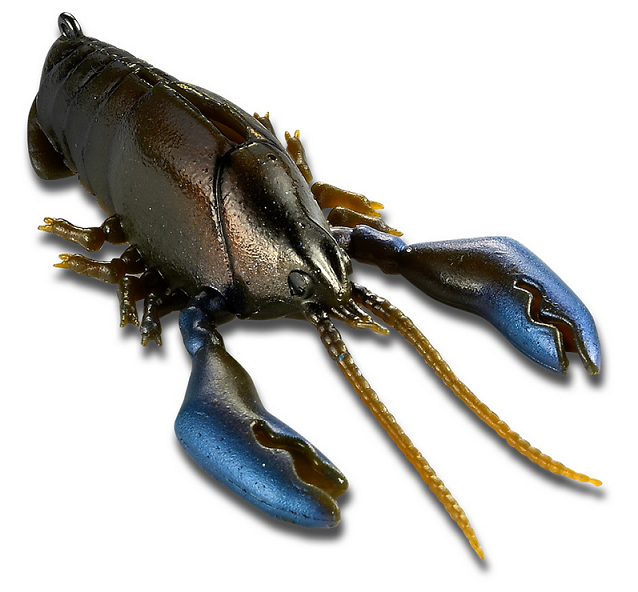 ルアーのアップ写真