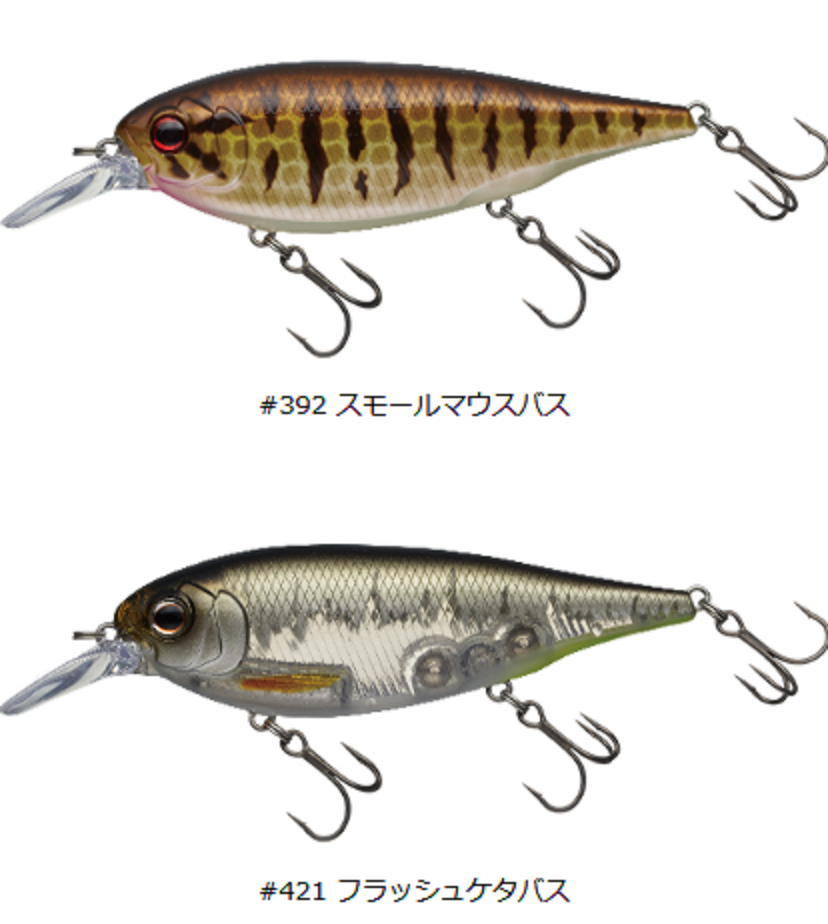 ルアーのアップ写真