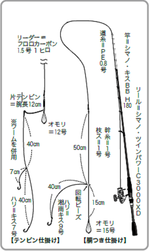 東京湾奥金沢漁港出船のシロギス