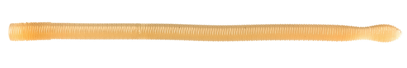 ワームのアップ写真