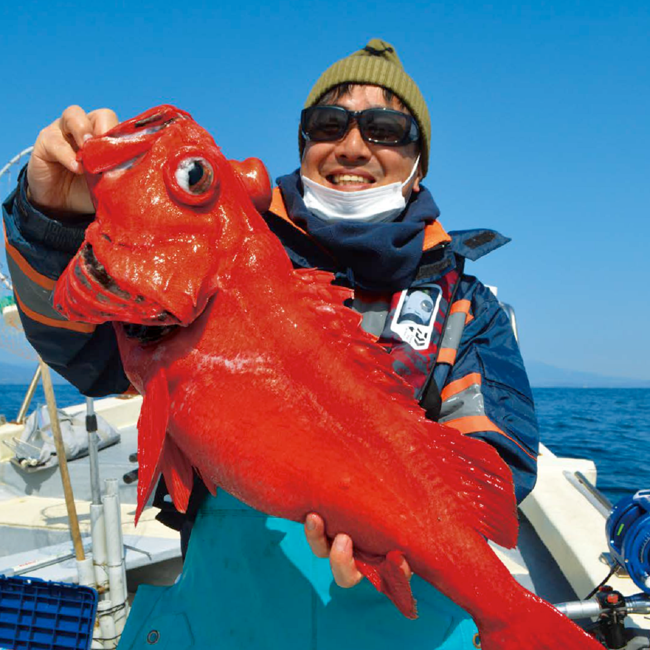 意外と身近な深海の至宝！真鶴沖にベニアコウを追う