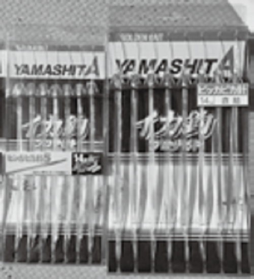 プラヅノの写真