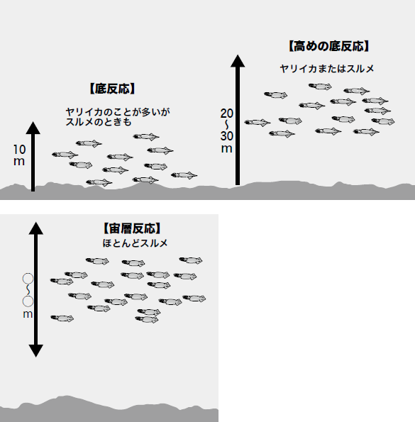 イカ名人 Yaccoさんの4月の沖イカ傾向と対策