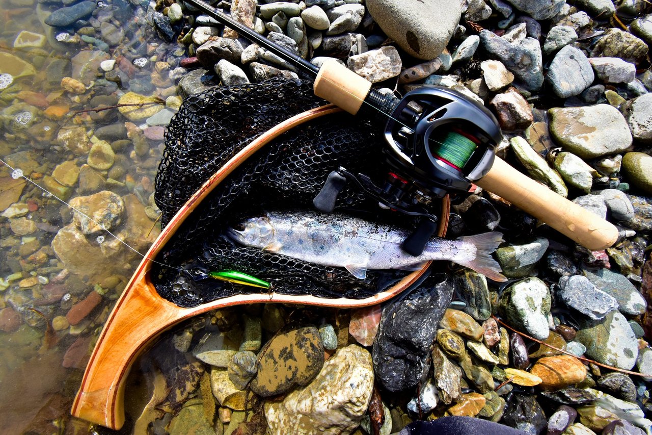 魚とロッドのアップ写真